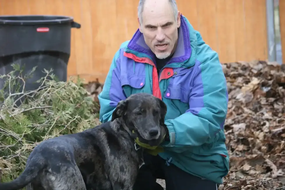 Medication and Pet Taxi